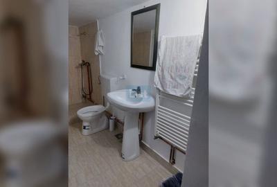Apartament cu 2 camere semidecomandat, mobilat în Gruia - 7
