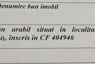 Teren de 678 mp, în Pișchia - 2