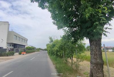 Teren de 5000 mp, în Freidorf - 2