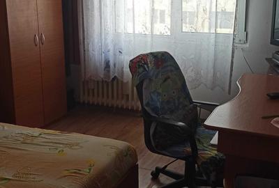 Vanzare apartament 3 camere Nicolae Grigorescu Ilioara - 6