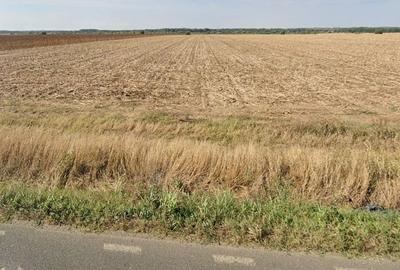 Teren agricol extravilan de 15008 mp, în Nuci - 2