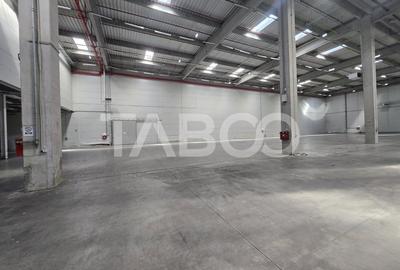 Spatiu depozitare sau industrial de 4000mp de inchiriat in Sibiu - 6