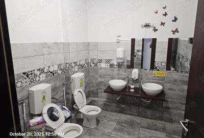 Spatiu birou, Gradinita, Reprezentanta P+E 240mp si curte 550mp liber din Octombrie - 5