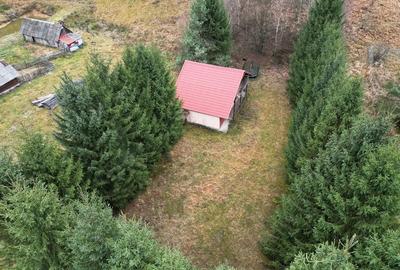 Casă cu Teren 1400 Mp în Bulz - 7