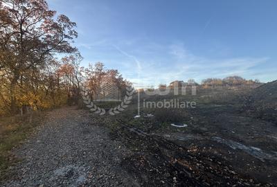 Teren intravilan cu puz Aprobat | 458mp | Front 30mp | Faget - 1