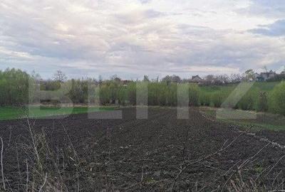 Casă cu 2 camere cu Teren 6500 Mp în Central - 2