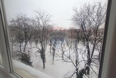 Apartament cu 2 camere semidecomandat în Baba Novac - 9