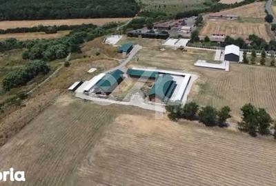 Teren de 105000 mp, în Singureni - 16