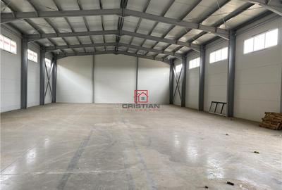 Depozit/hala/spatiu industrial Theodor Pallady - Drumul Int - 3