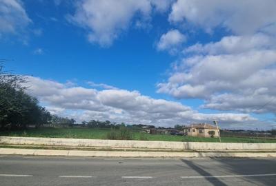 Teren Construcții intravilan de 6732 mp, în Mihai Viteazu - 2