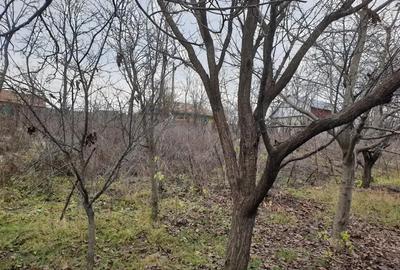 Casa batraneasca de vanzare Casa batraneasca de vanzare - 8