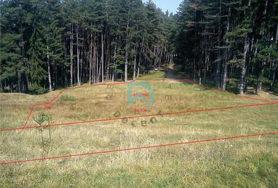 Teren Construcții intravilan de 1500 mp, în Poiana Angelescu - 7