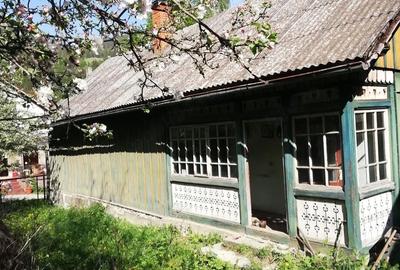 Teren de 33677 mp, în Iacobeni - 5