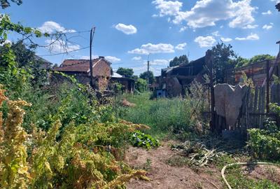Zona Sarbi – Targoviste - 5