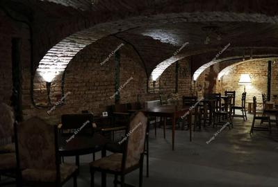 SAD - Spatiu comercial central de 160mp - ideal pentru cafenea, crama, magazin - 4