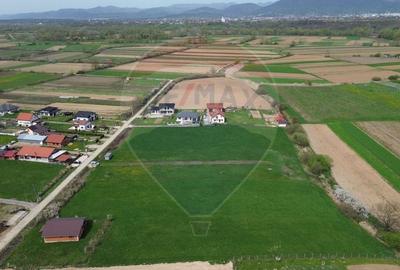 Teren Construcții intravilan de 6124 mp, în Coltău - 4