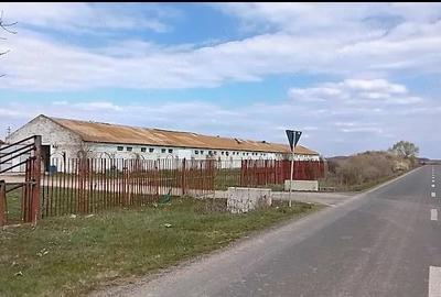 Teren de 16575 mp, în Sintea Mare - 4