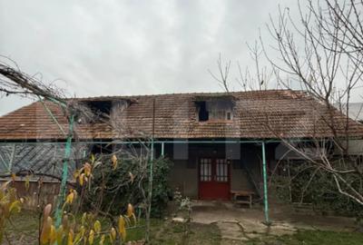 Casă cu 3 camere cu Teren 2745 Mp în Central - 6