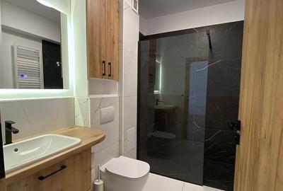 Apartament cu 2 camere decomandat, mobilat în Terezian - 7