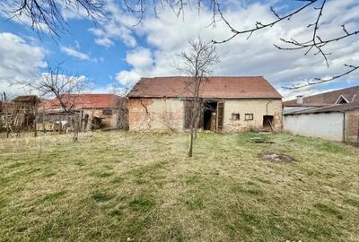 Casă cu 4 camere cu Teren 730 Mp în Central - 5
