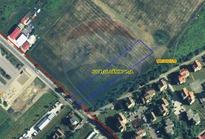 Teren Construcții intravilan de 6450 mp, în Exterior Vest - 9