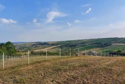 Teren în Nord - 7