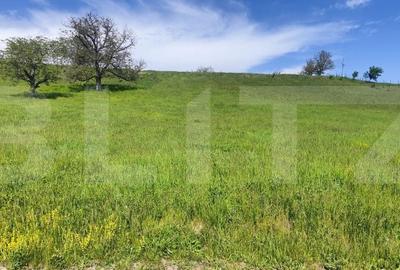 Teren de 15502 mp, în Răzvad - 3