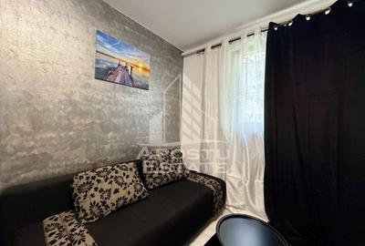 Garsoniera renovata si mobilata, totul nou, zona Take Ionescu - 2