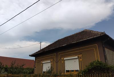 Vand Casa in Domanesti(SM) - 1