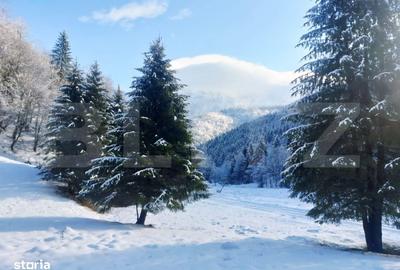 Spațiu comercial, în Central - 2