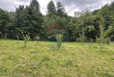 Teren de 1350 mp, în Gârcina - 11