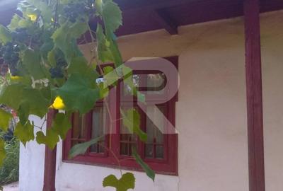 Exclusivitate_Lipia (Gruiu IF)- Casuta Bunicii - 3