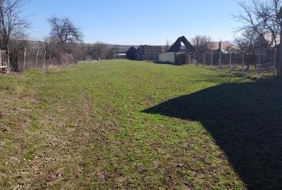 Arini jud. Brasov - 3