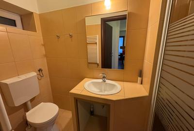 Apartament cu 4 camere decomandat, mobilat în Cotroceni - 12