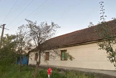 Casa cu pozi?ie excelenta, centrala, in Faget Casa cu pozi?ie excelenta, centrala, in Faget - 7