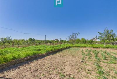 Casă individuală cu 4 camere cu Teren 1413 Mp în Girișu de Criș - 8