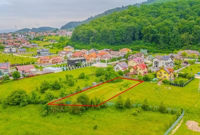 COMISION 0% | Teren intravilan - Sacele, Strada Carpenului, 1025 mp - 3