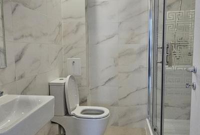 Apartament cu 3 camere semidecomandat, mobilat în Theodor Pallady - 12