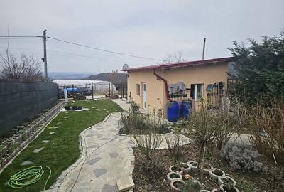 Casă cu 2 camere în Podgoria - 11