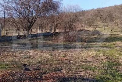 Casă cu Teren 3000 Mp în Central - 3