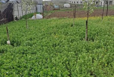 Casa Moderna de Vanzare, zona Simnicul de Sus - 7