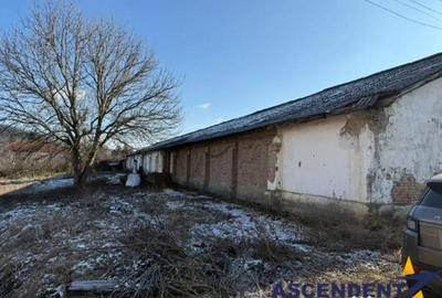 Spațiu comercial, de 570 mp, în Râciu - 3