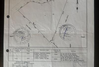 Spațiu comercial, în Râu Alb de Jos - 2