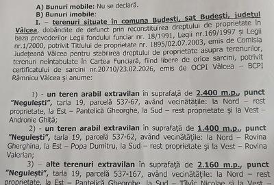 Teren de 6000 mp, în Budești - 2