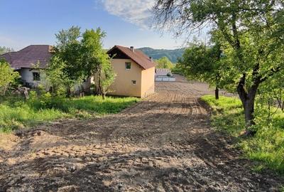 Casa+ casa batraneasca Surupate(Comuna Francesti, Valcea) - 7