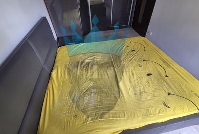 Apartament cu 2 camere decomandat, mobilat în Rahova - 11