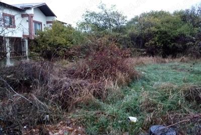 TEREN Constructii-Impresionant-Chiajna-Utilitati - 2