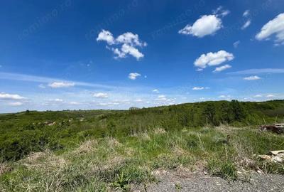 Teren de 8200 mp, în Lugoj - 11