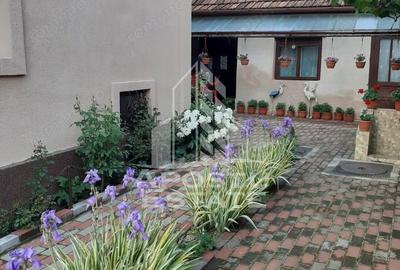 Casă cu 3 camere cu Teren 500 Mp în Făget - 7