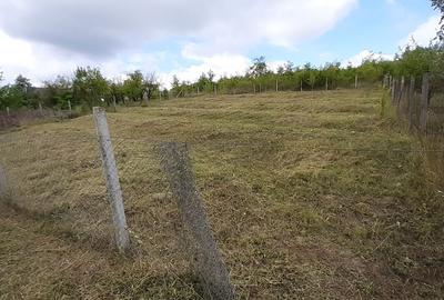 Teren de 800 mp, în Livezeni